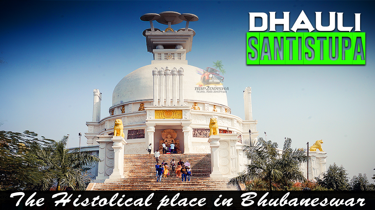 You are currently viewing Dhauli Santi Stupa