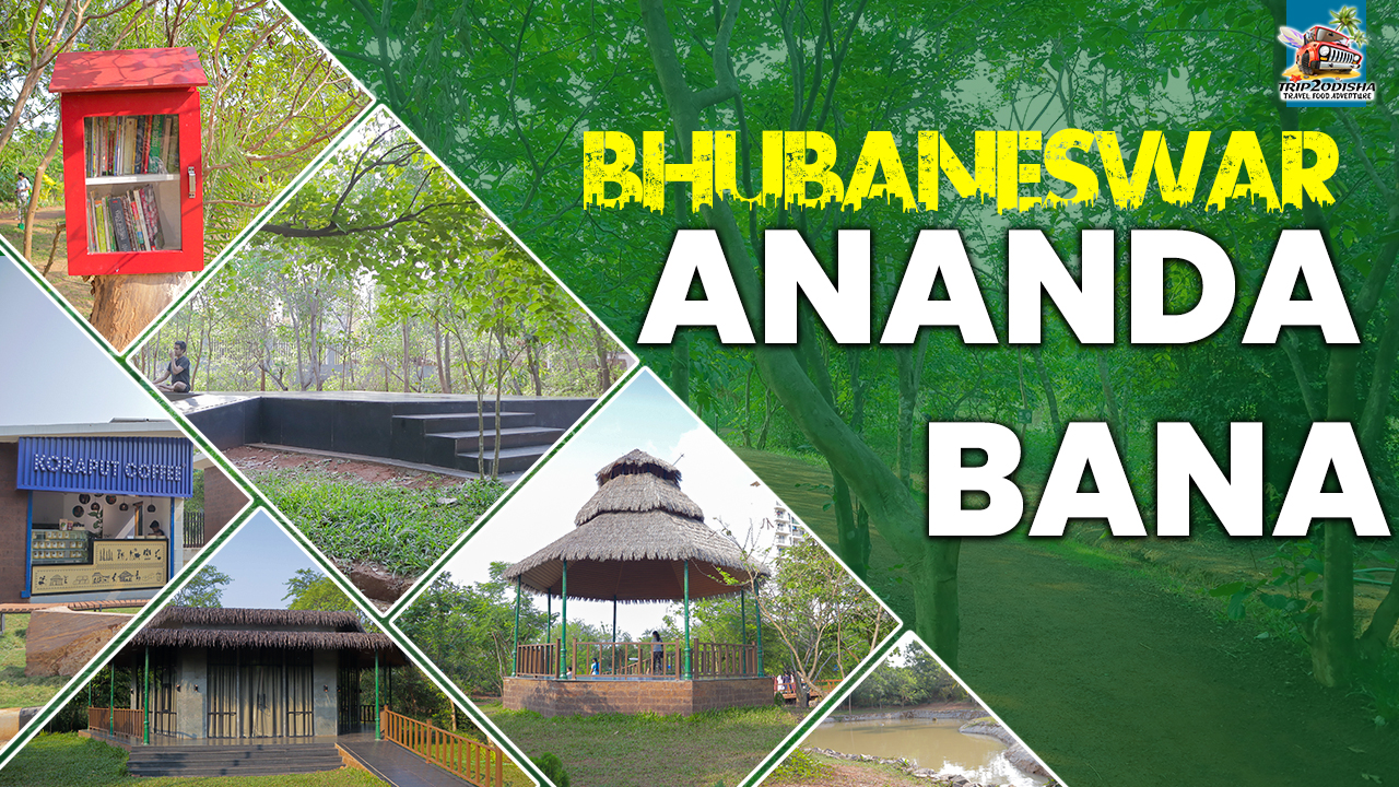 You are currently viewing Anandabana- Nest of Happiness