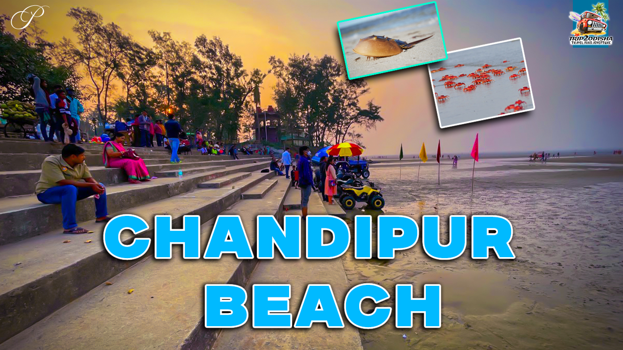 Read more about the article Chandipur Beach is the ultimate tourist destination in Odisha