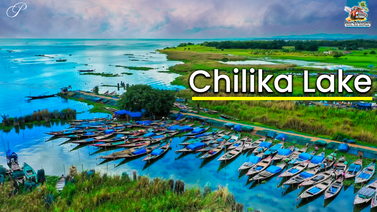 You are currently viewing Chilika Lake: The largest coastal lagoon in India