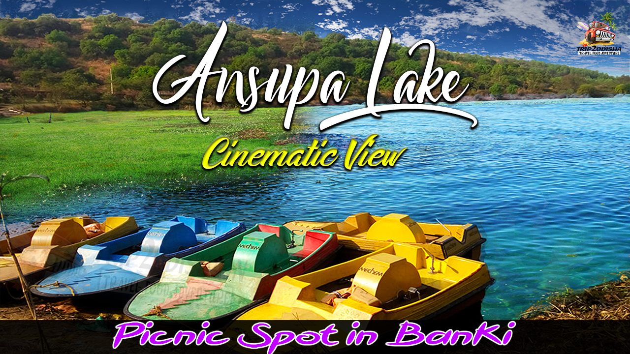 You are currently viewing Ansupa Lake in Odisha is an incredible spot for a picnic outing