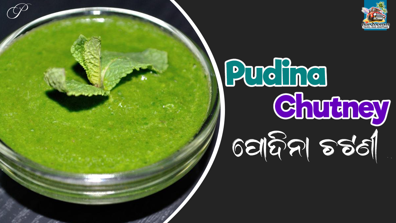 You are currently viewing Learn how to make delicious Pudina chutney at home