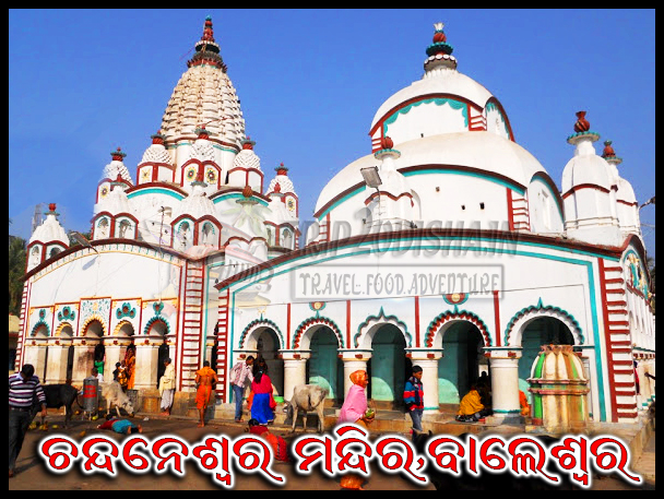 Devotees participating in Bol Bom Yatra during the auspicious month of Srabana, carrying holy water to pour on Shiva Lingas across Odisha