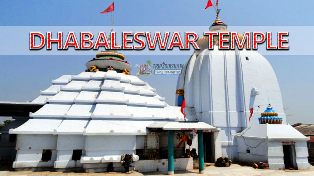 Devotees participating in Bol Bom Yatra during the auspicious month of Srabana, carrying holy water to pour on Shiva Lingas across Odisha