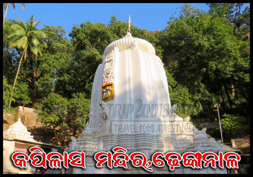 Devotees participating in Bol Bom Yatra during the auspicious month of Srabana, carrying holy water to pour on Shiva Lingas across Odisha