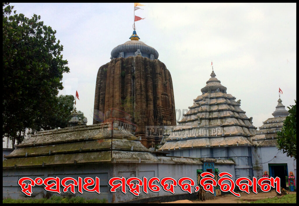 Devotees participating in Bol Bom Yatra during the auspicious month of Srabana, carrying holy water to pour on Shiva Lingas across Odisha