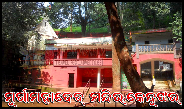 Devotees participating in Bol Bom Yatra during the auspicious month of Srabana, carrying holy water to pour on Shiva Lingas across Odisha