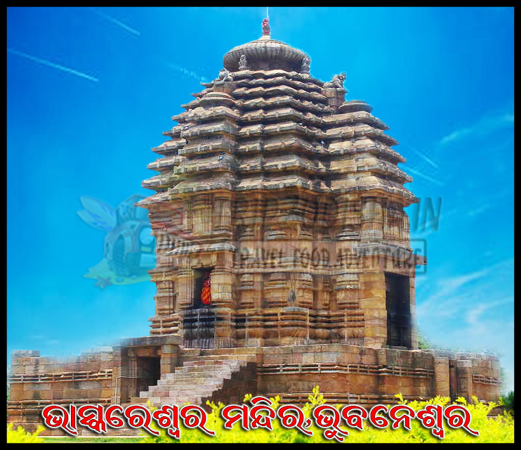 Devotees participating in Bol Bom Yatra during the auspicious month of Srabana, carrying holy water to pour on Shiva Lingas across Odisha