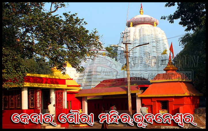 Devotees participating in Bol Bom Yatra during the auspicious month of Srabana, carrying holy water to pour on Shiva Lingas across Odisha