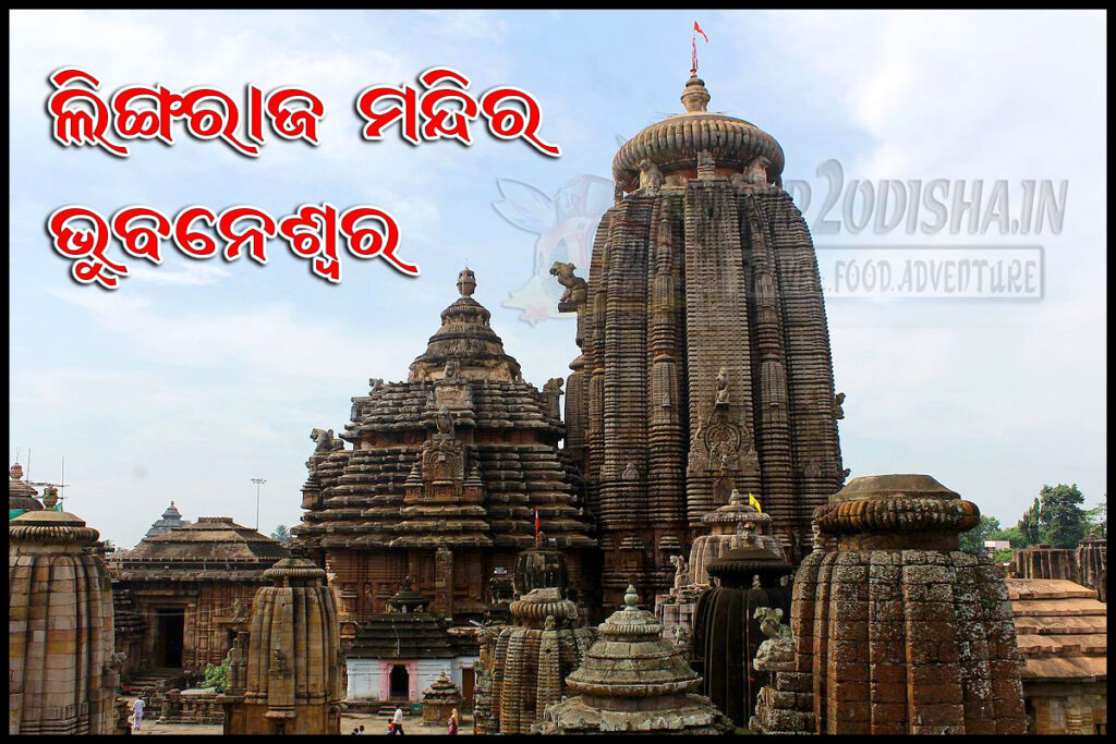 Devotees participating in Bol Bom Yatra during the auspicious month of Srabana, carrying holy water to pour on Shiva Lingas across Odisha