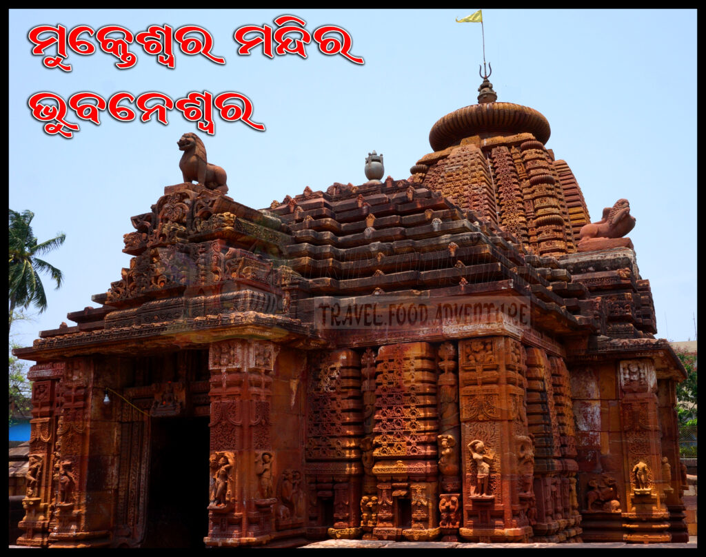 Devotees participating in Bol Bom Yatra during the auspicious month of Srabana, carrying holy water to pour on Shiva Lingas across Odisha