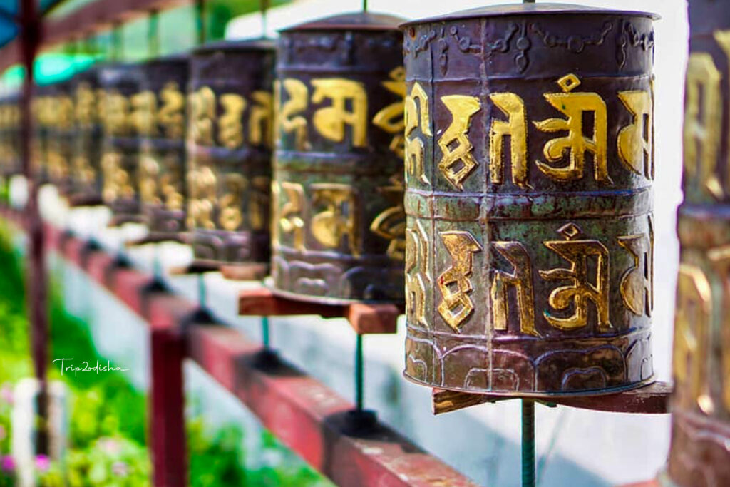 **Jirang Monastery: A Spiritual Haven in Odisha, India**

Jirang Monastery, nestled amidst the serene hills of Gajapati district in Odisha, stands as a beacon of peace and spirituality. Its vibrant architecture, adorned with intricate Tibetan designs and colorful murals, attracts visitors from far and wide. The monastery, also known as Padmasambhava Mahavihara Monastery, is one of the largest in Eastern India. It offers a tranquil environment for meditation and spiritual retreat, surrounded by lush greenery and picturesque landscapes. Monks in traditional robes can be seen performing rituals and prayers, adding to the monastery's mystical ambiance. Jirang Monastery is not just a place of worship but a cultural hub that showcases the rich heritage of Tibetan Buddhism.